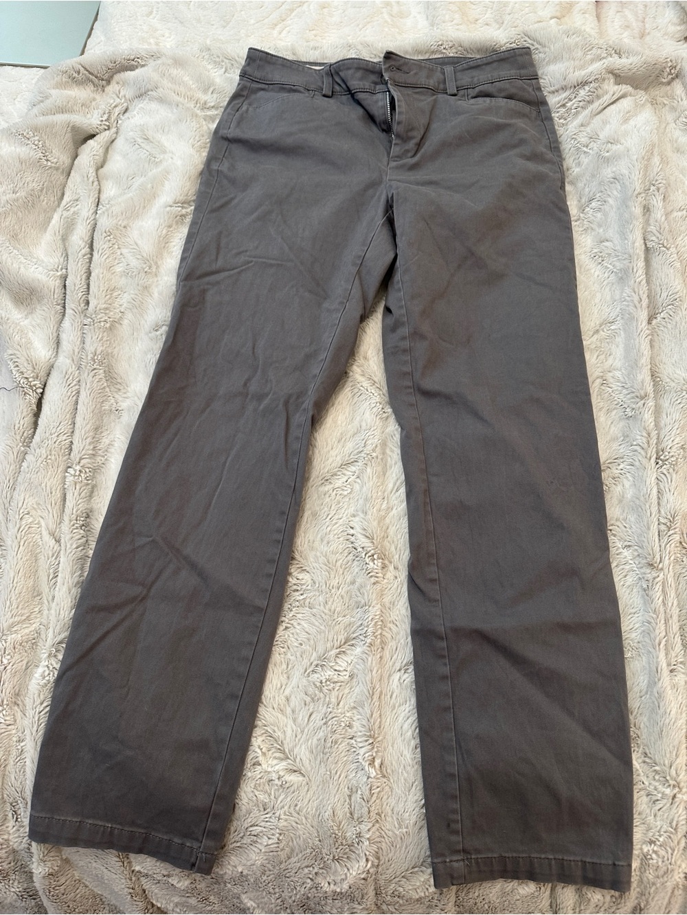 LOFT Women's Dark Charcoal Straight-Leg Chinos